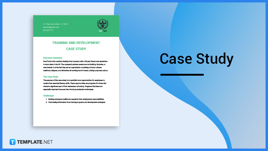 education case study template