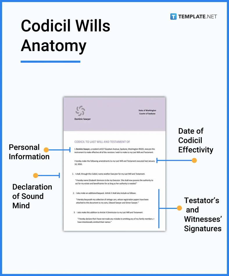 Codicil Wills What Is a Codicil Will? Definition, Types, Uses