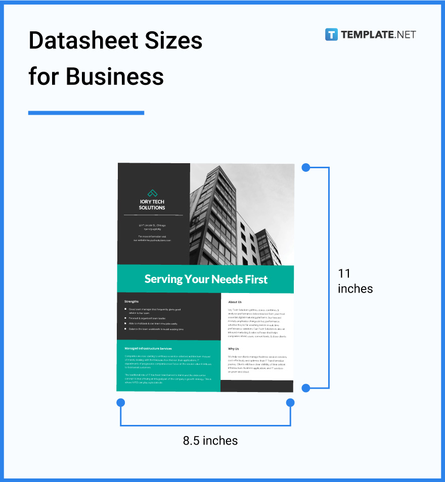 datasheet-sizes-for-business