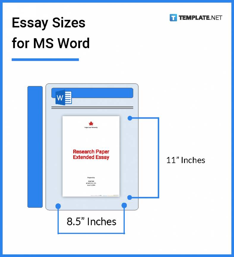 average essay size