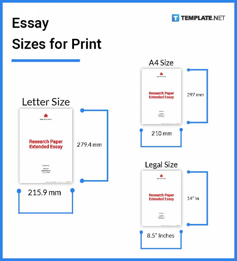 essay font and text size