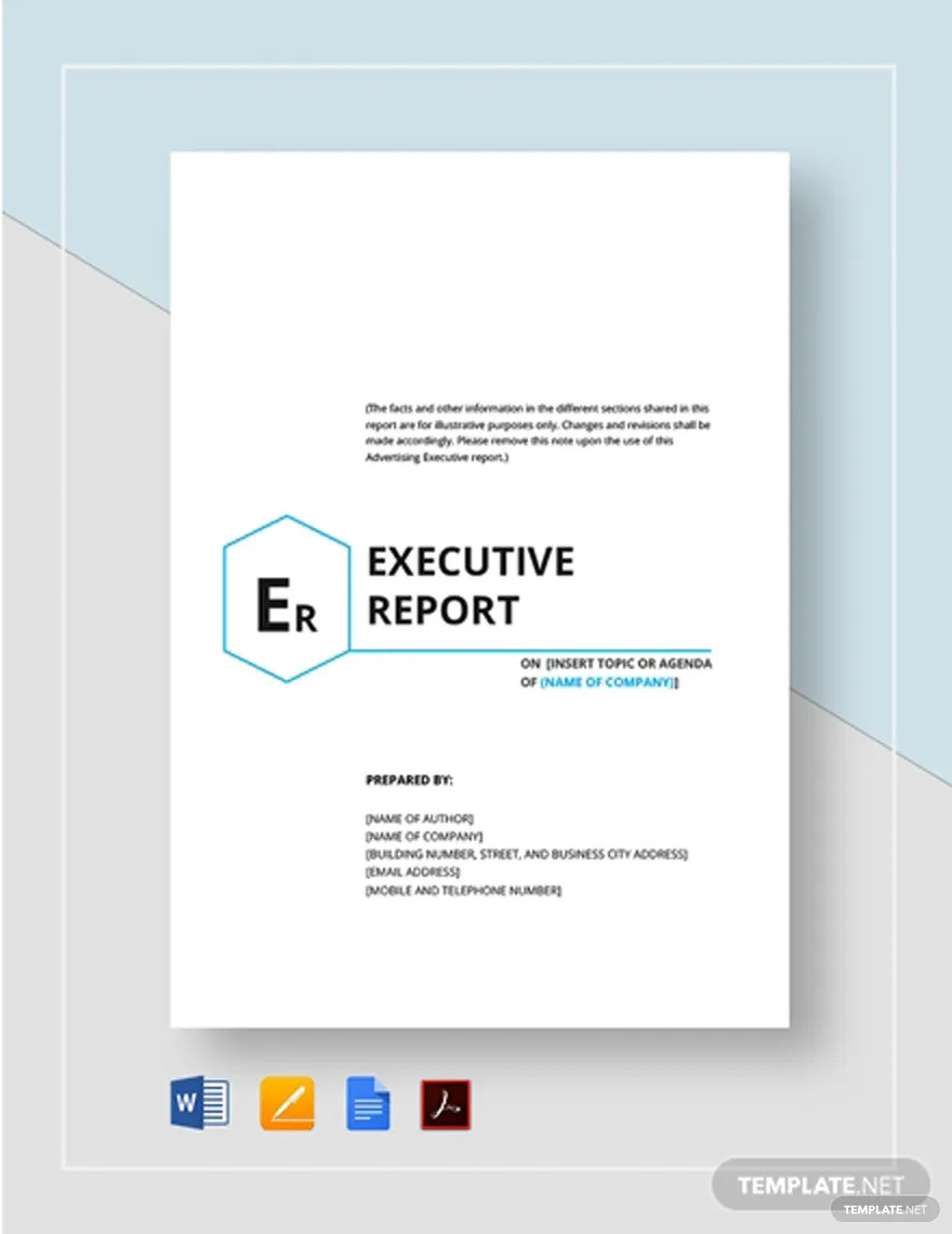 executive-report-ideas-and-examples