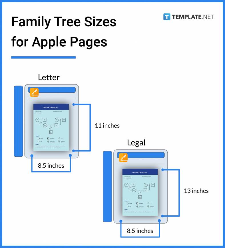 family tree sizes for apple pages 788x