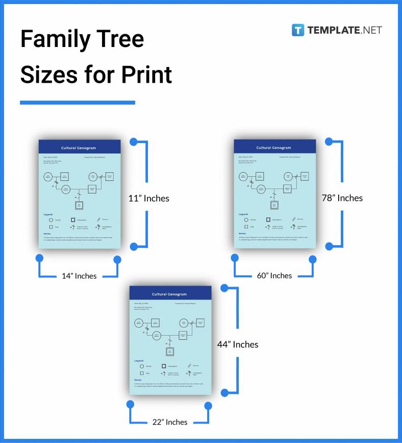 family tree sizes for print 788x