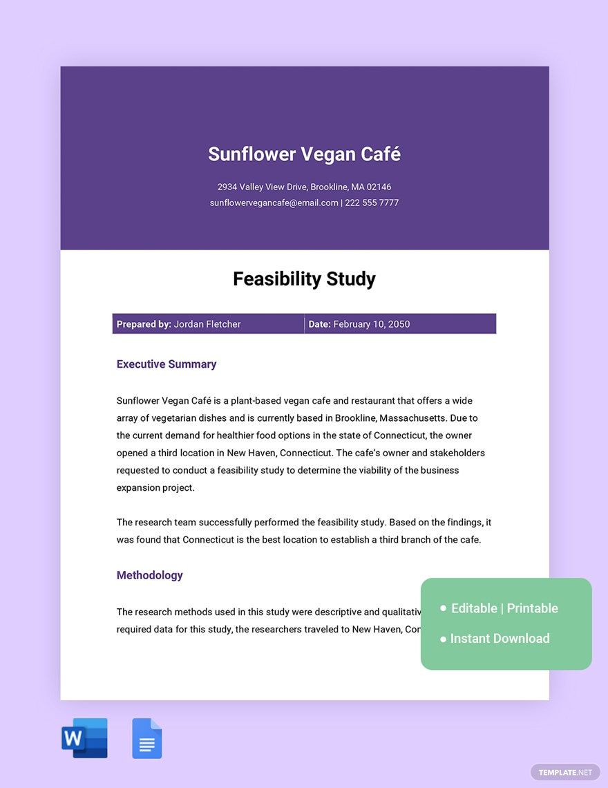 feasibility-study-outline-ideas-and-examples