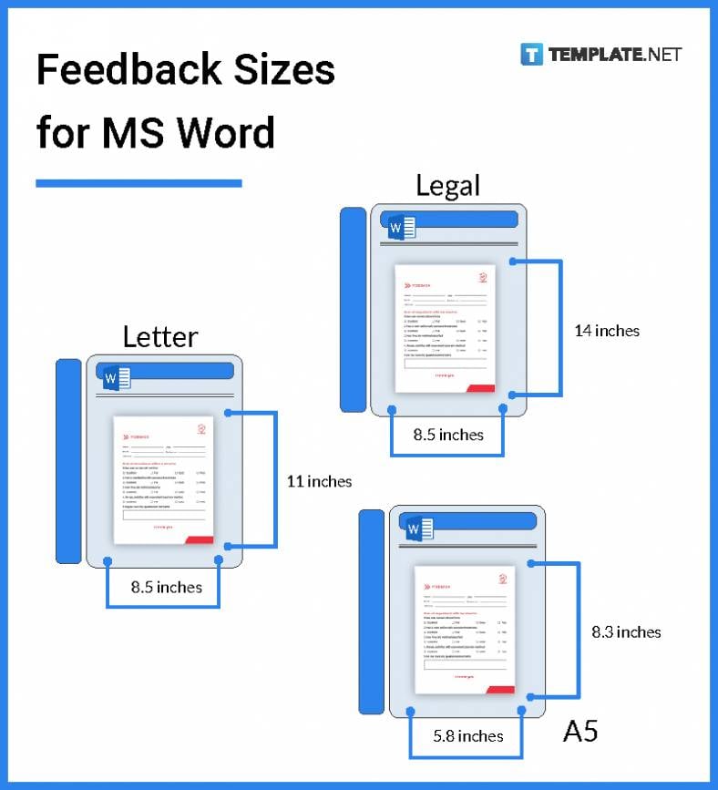 feedback-sizes-for-ms-word-788x867
