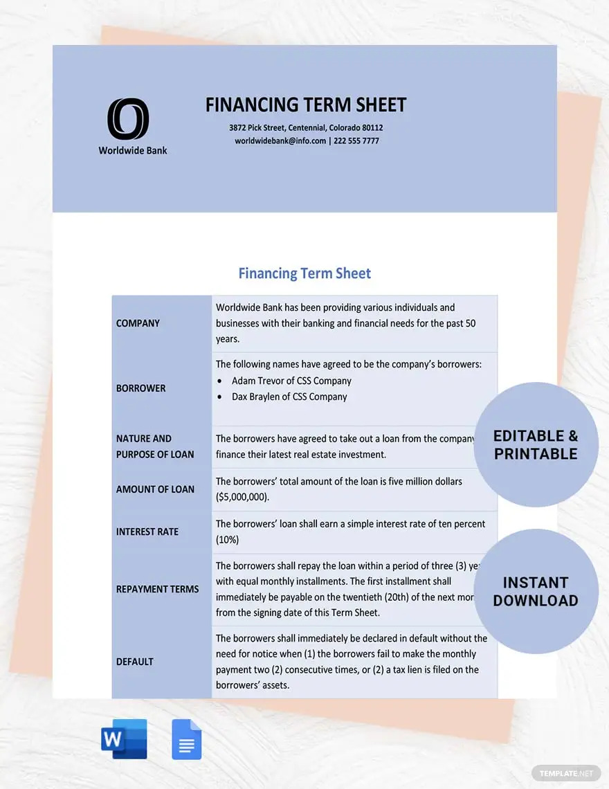 Term Sheet Ideas - Examples 2023