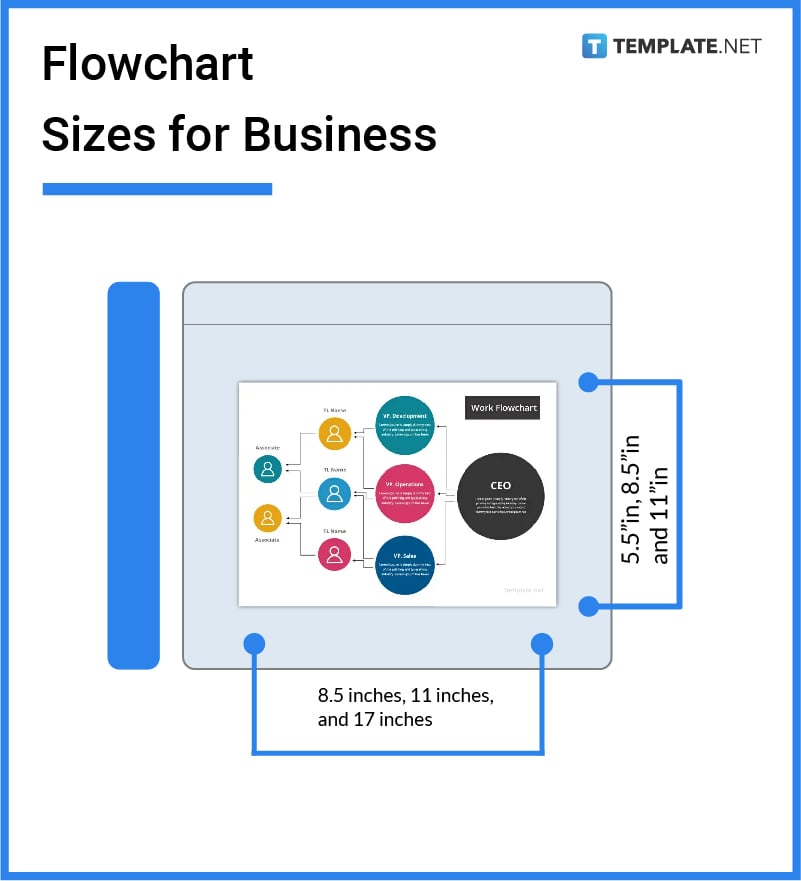 flowchart sizes for business