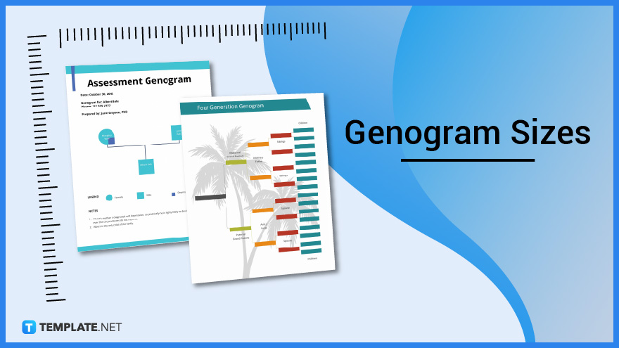 genogram-sizes