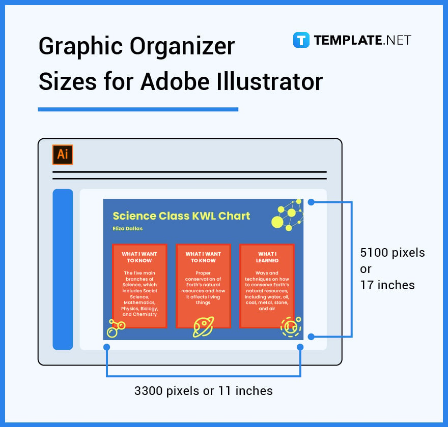 graphic organizer sizes for adobe illustrator