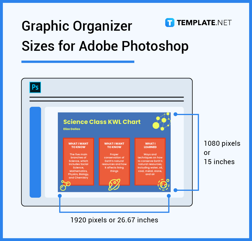 graphic organizer sizes for adobe photoshop