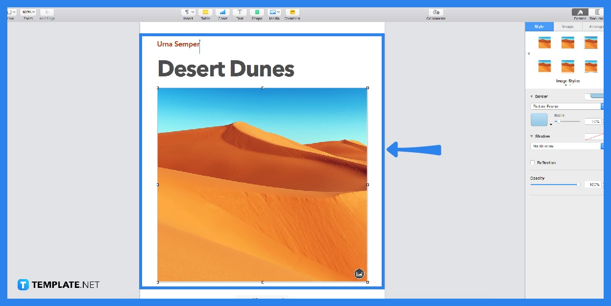 how do i create a booklet in apple pages step 0