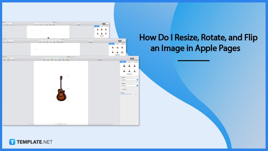 how-do-i-resize-rotate-and-flip-an-image-in-apple-pages