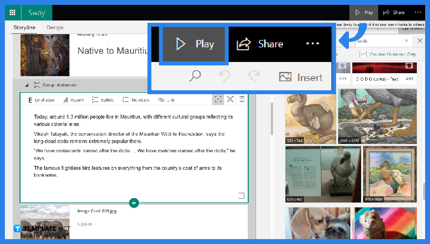 How Do Students Use Sway?