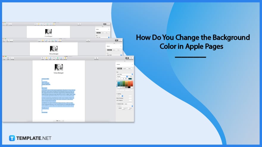 how-do-you-change-the-background-color-in-apple-pages