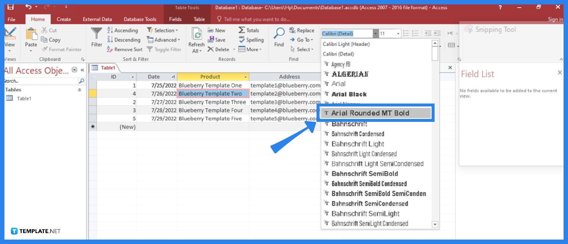 how-to-change-font-in-microsoft-access-step-2