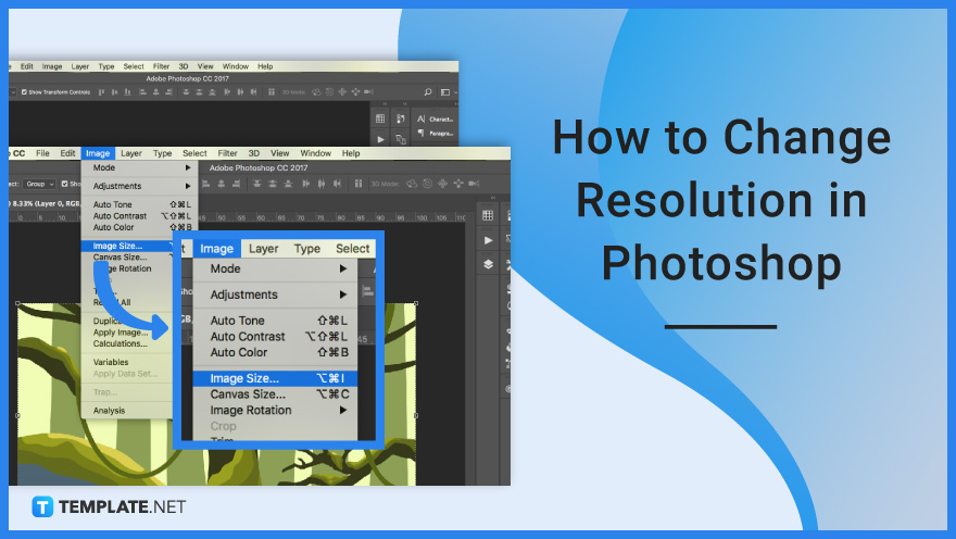 How To Change Resolution In Photoshop