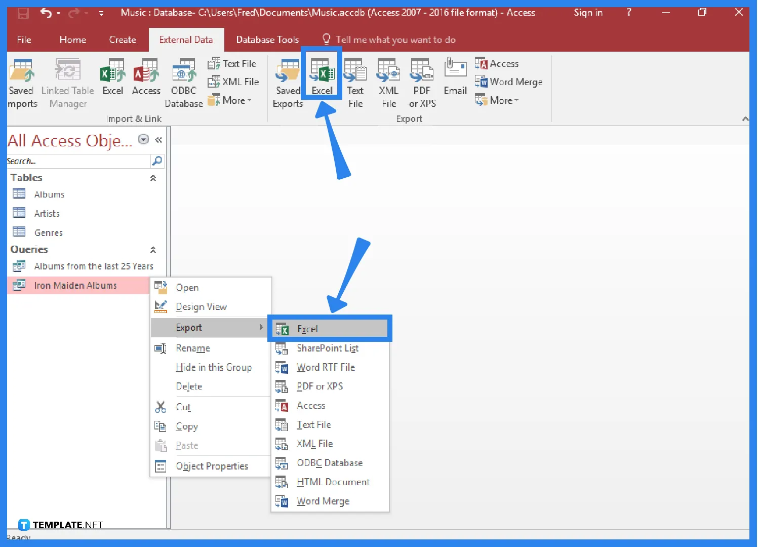 how-to-convert-microsoft-access-to-excel-step-3