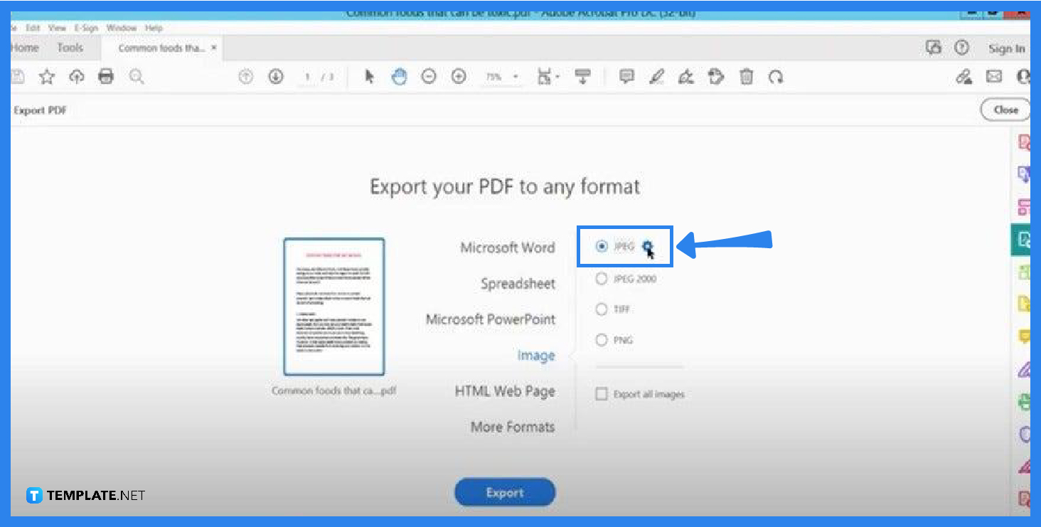 How to Convert PDF to JPG in Adobe Reader
