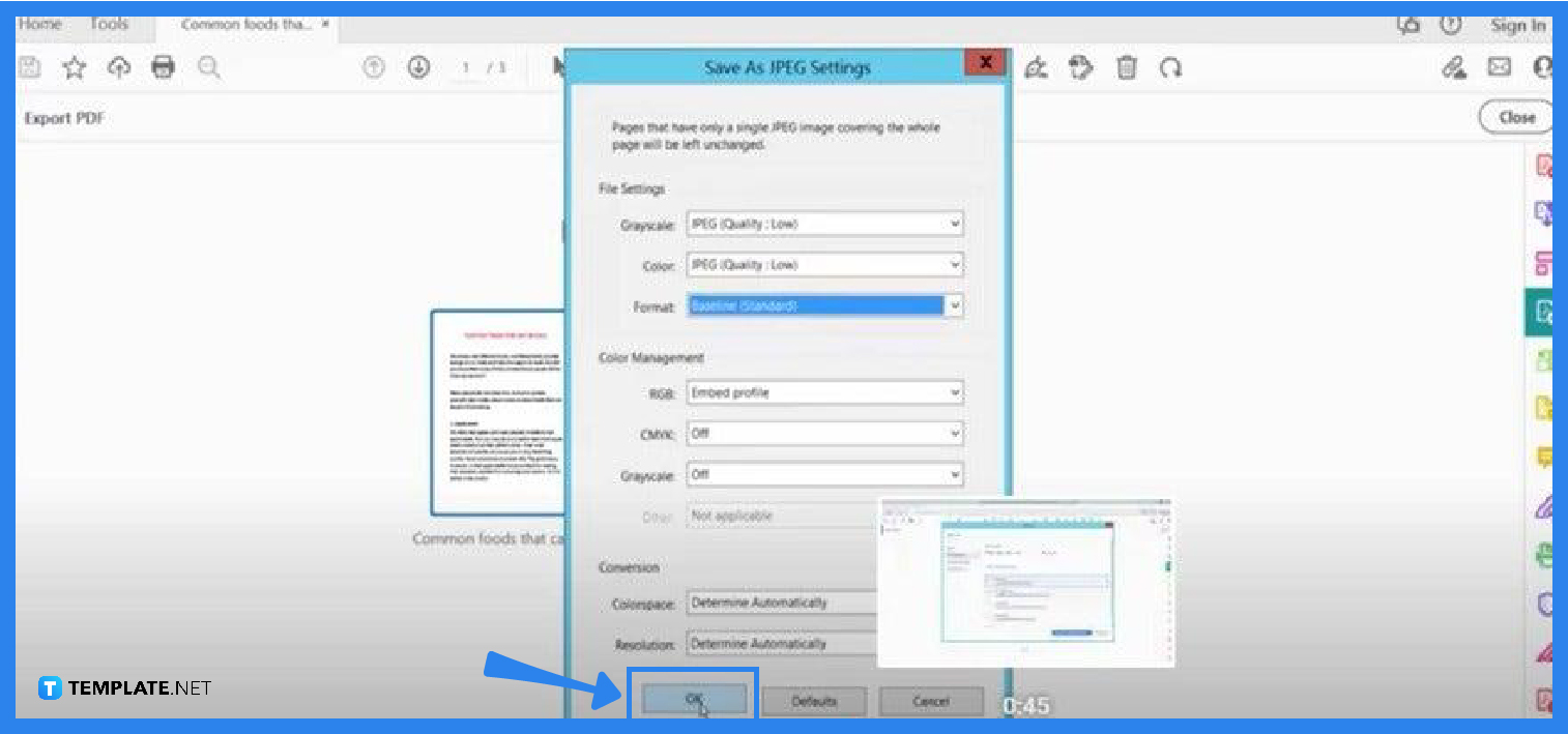 How to Convert PDF to JPG in Adobe Reader