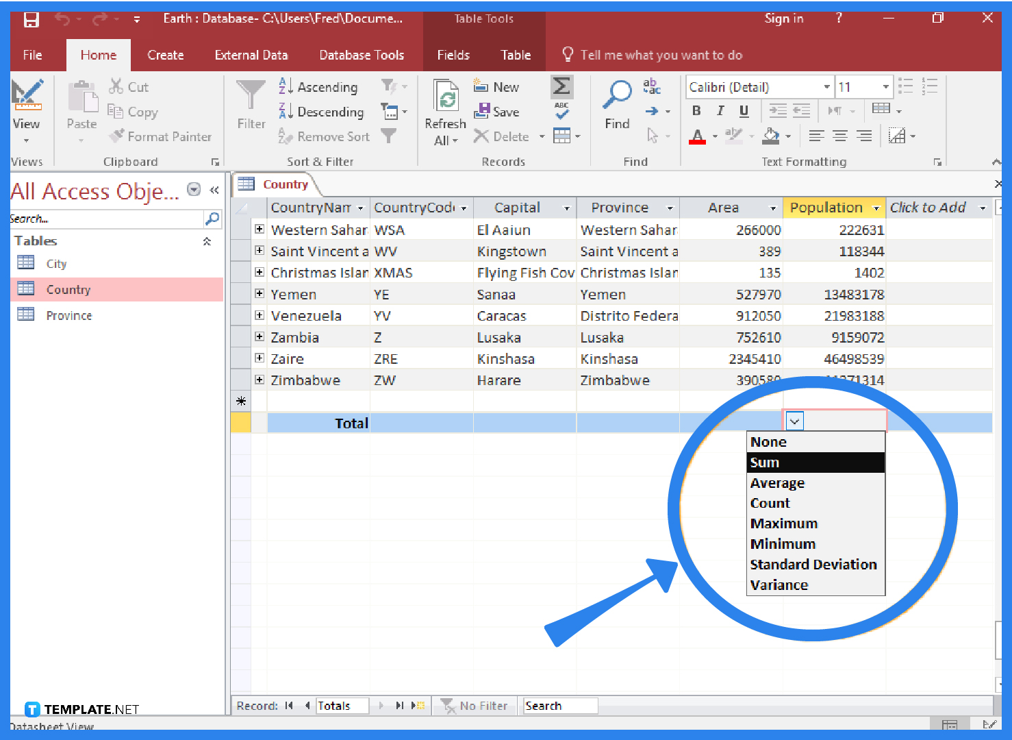 How to Create a Totals Row in Microsoft Access