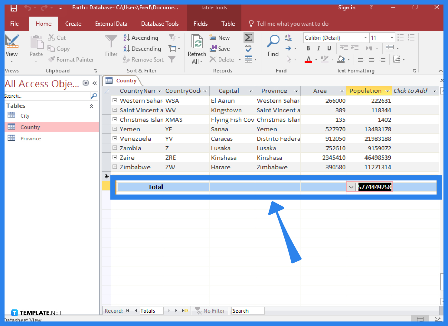 How to Create a Totals Row in Microsoft Access