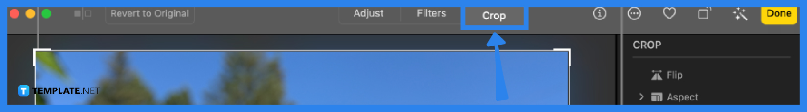 How to Crop a PNG on Mac - Step 2