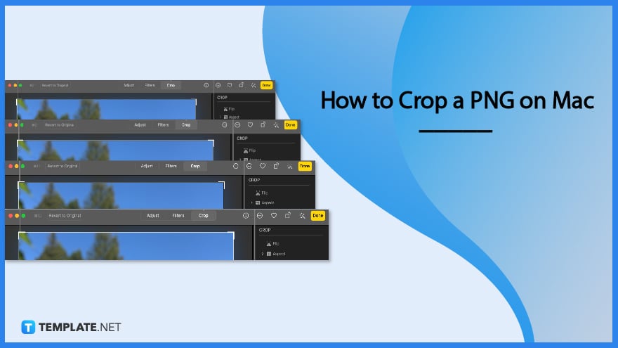 how-to-crop-a-png-on-mac