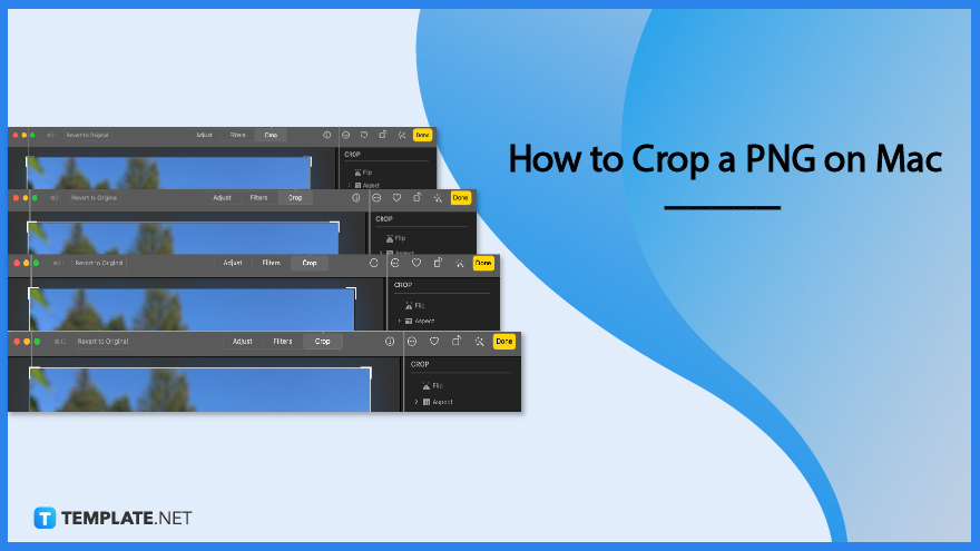 how to crop a image on mac