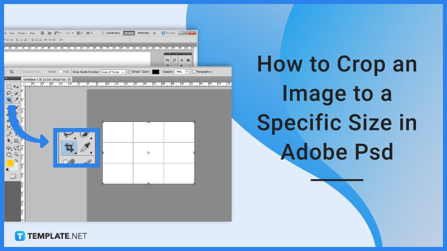 how-to-crop-an-image-to-a-specific-size-in-adobe-psd