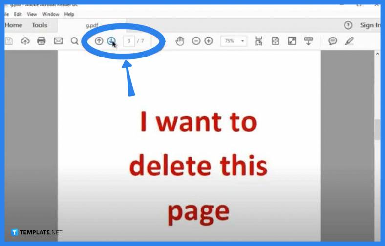 How to Delete/Separate Pages from PDF - Step 2