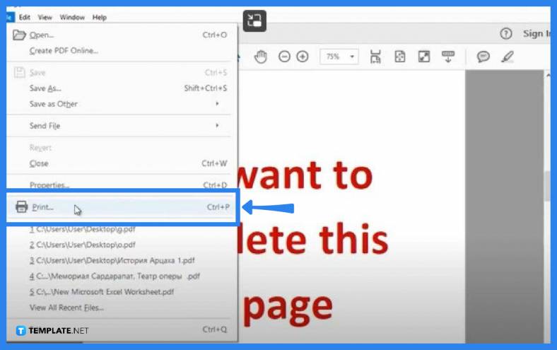 How to Delete/Separate Pages from PDF - Step 3