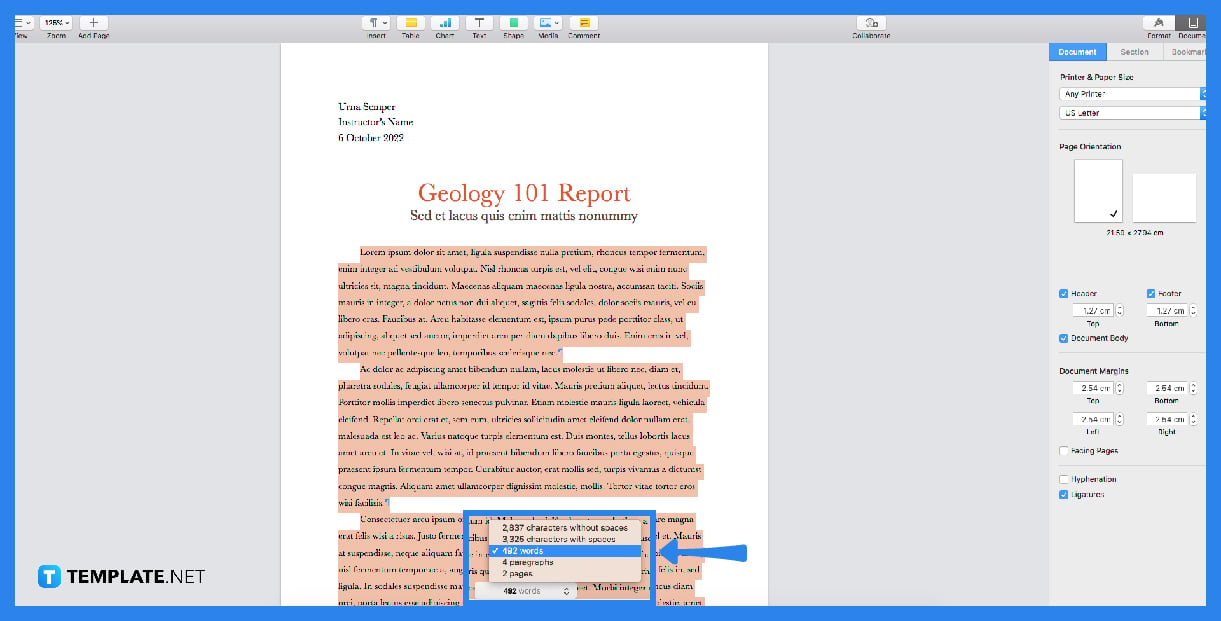 how to do a word count on apple pages step 0
