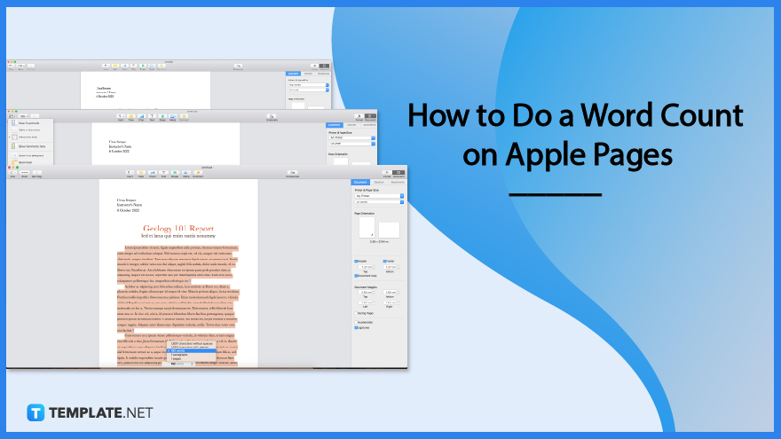 How to Do a Word Count on Apple Pages