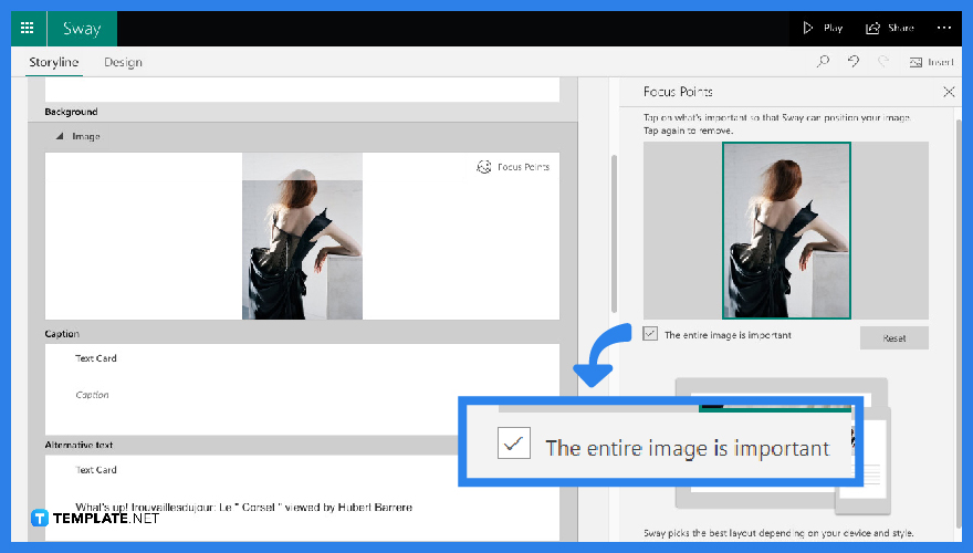how to edit images in microsoft sway step