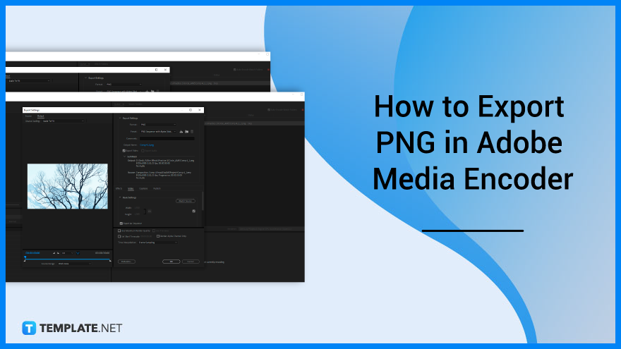 how-to-export-png-in-adobe-media-encoder-featured-header