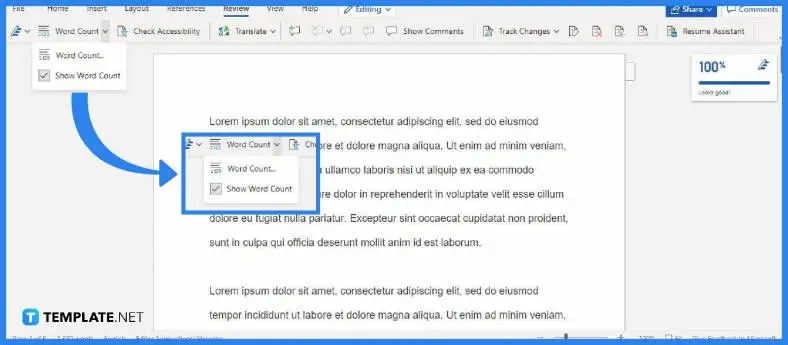 how-to-find-word-count-on-microsoft-word-steps-4