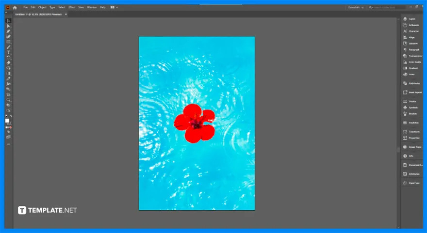 how to make png file in adobe illustrator step