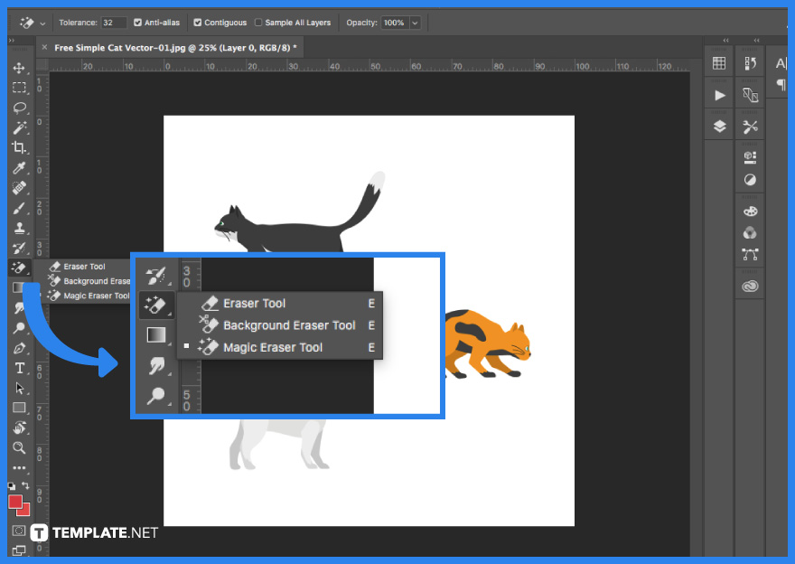 Handle Background Transparency in Snagit Editor Like You Would in Photoshop