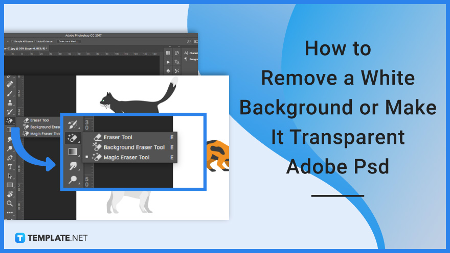 How to Remove a White Background or Make It Transparent Adobe PSD