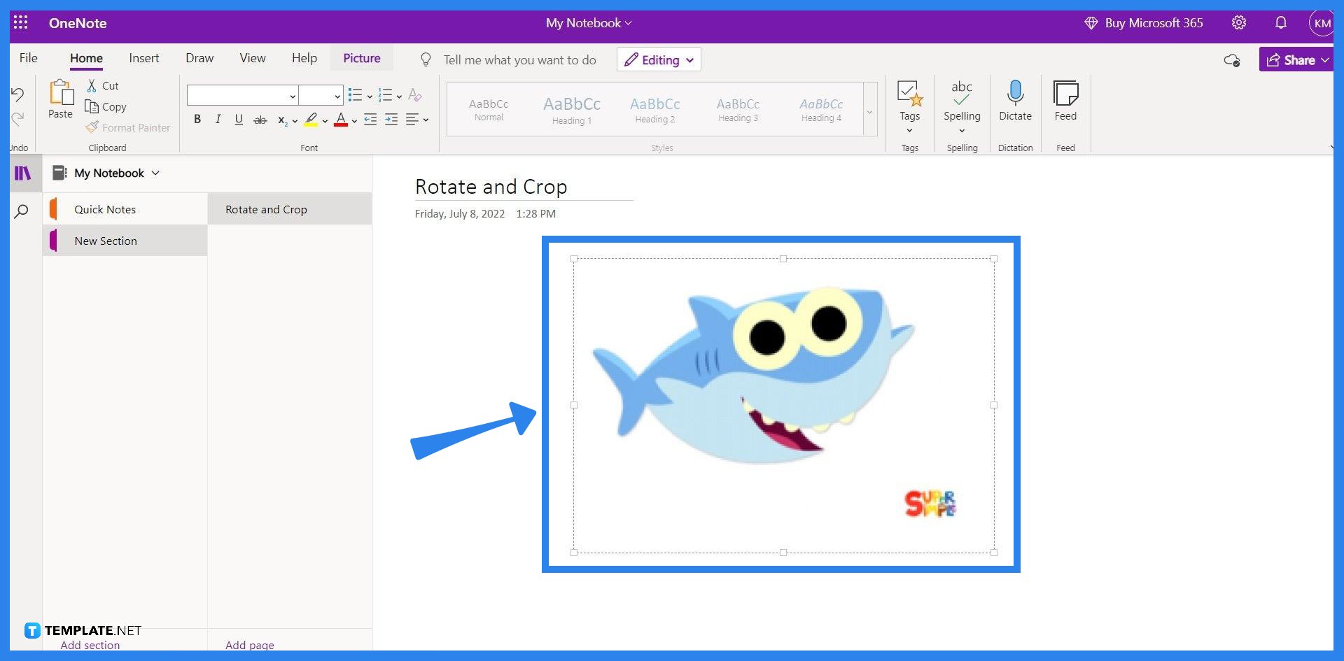 how-to-rotate-and-crop-a-picture-in-onenote-step-02