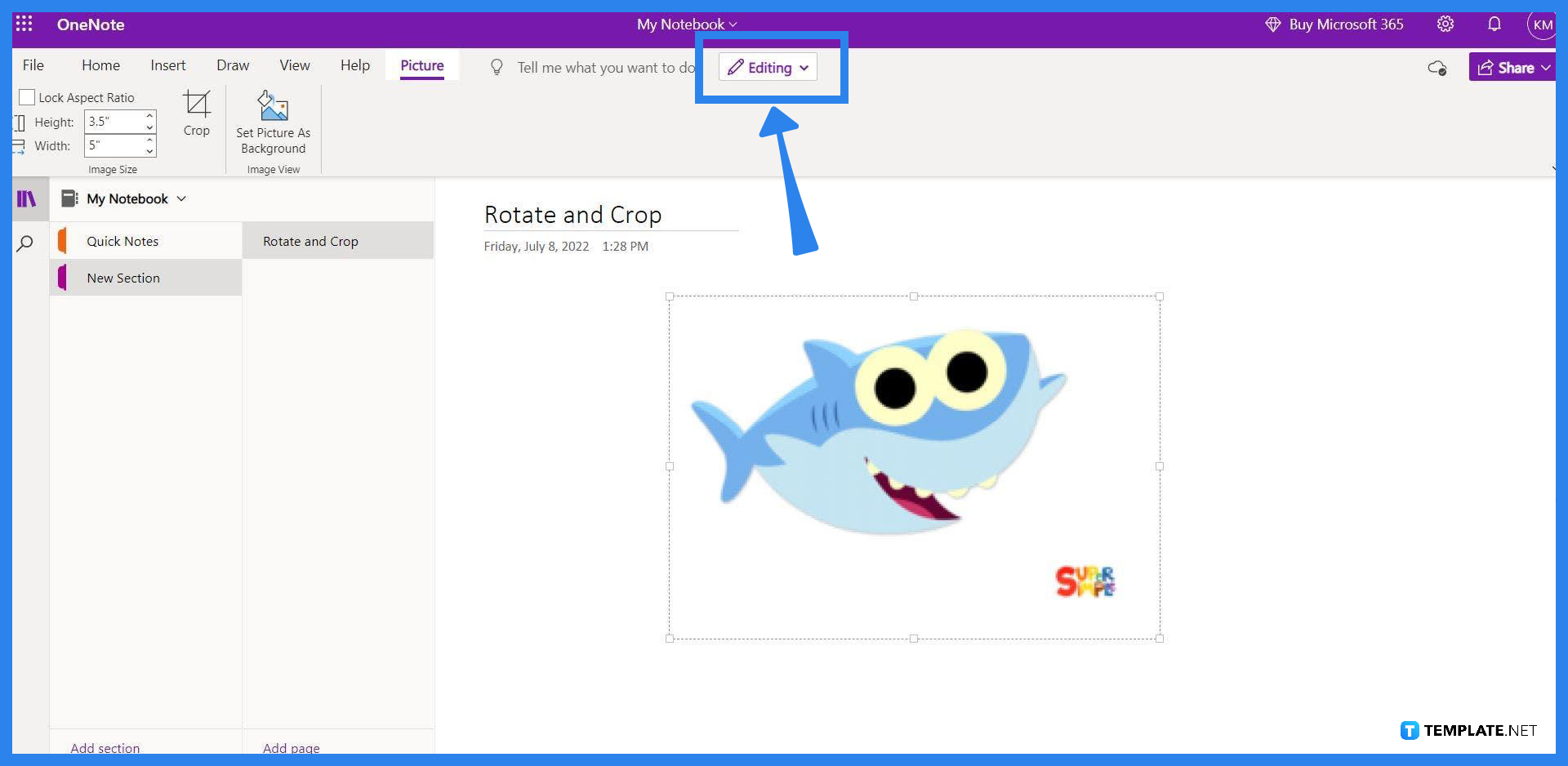 How to Rotate and Crop a Picture in OneNote - How To Rotate A Printout In Onenote