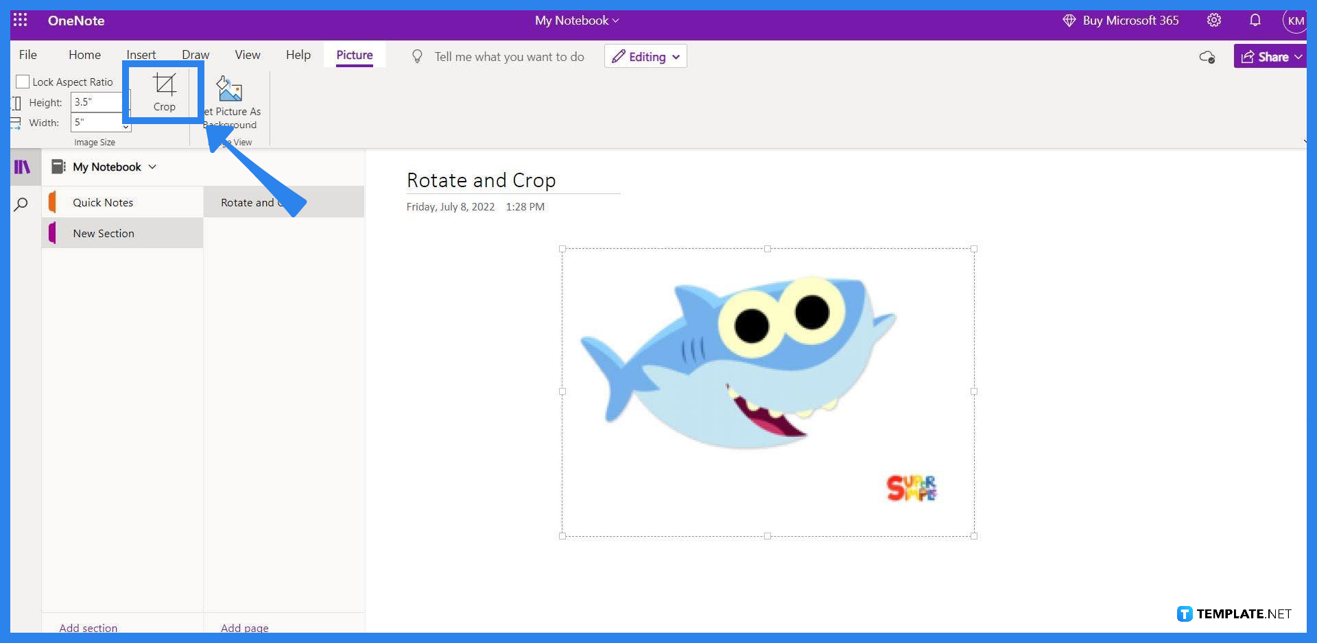 How to Rotate and Crop a Picture in OneNote | Free & Premium Templates
