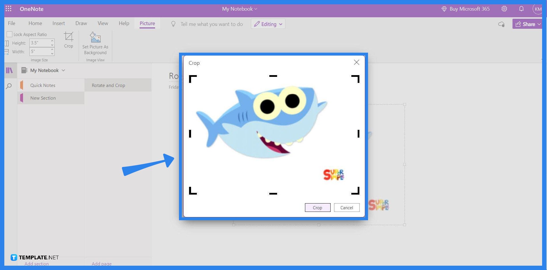 how-to-rotate-and-crop-a-picture-in-onenote-step-05