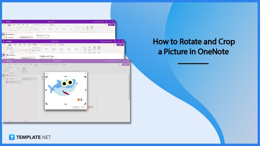 how-to-rotate-and-crop-a-picture-in-onenote