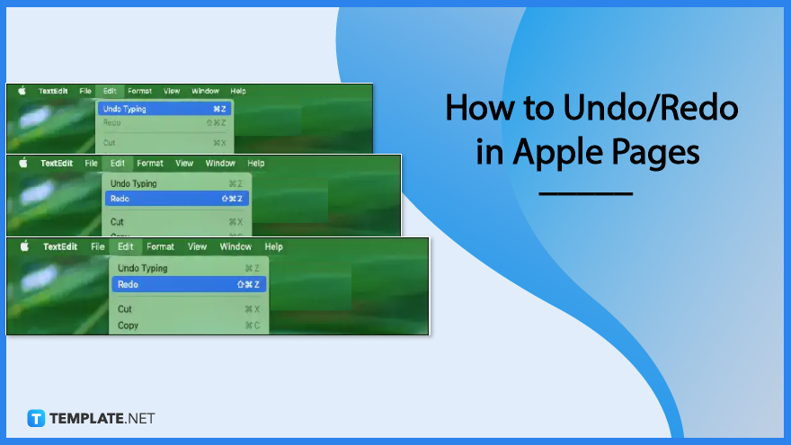 How To Undo Redo In Apple Pages