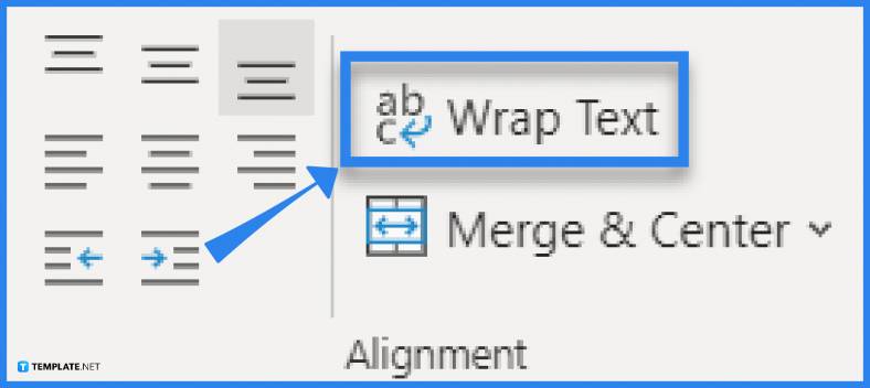 how-to-wrap-text-in-microsoft-excel-step-1-788x352