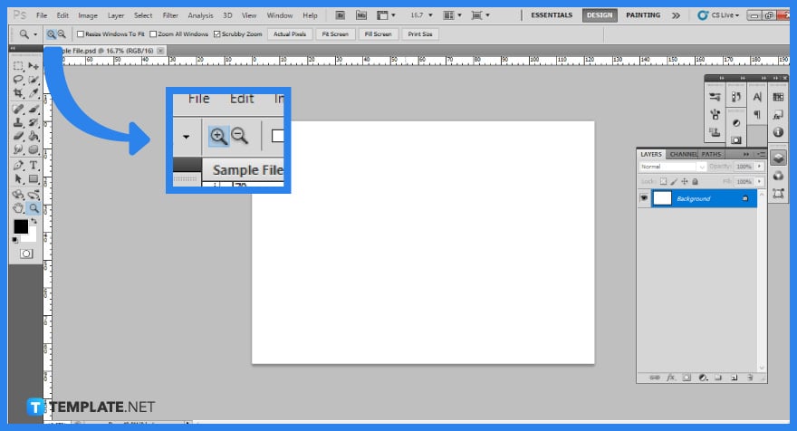 how-to-zoom-in-zoom-out-in-adobe-photoshop-step-2