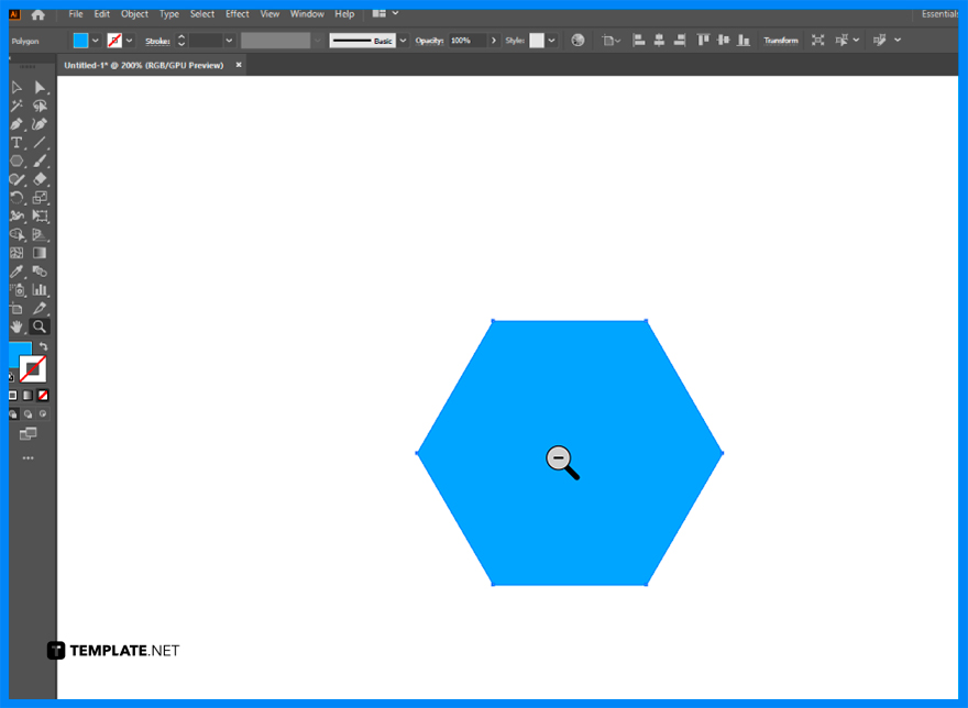 How to Zoom In/Zoom Out on Adobe Illustrator
