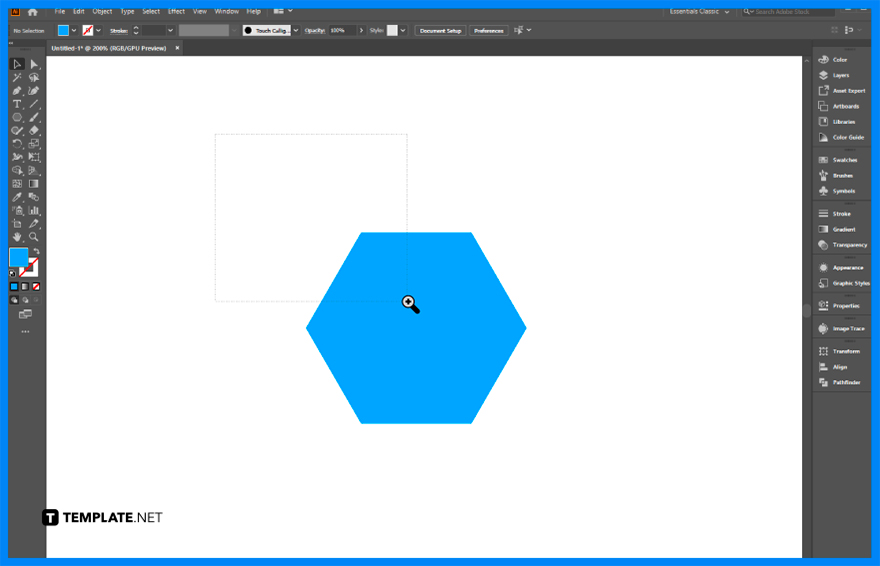 How to Zoom In/Zoom Out on Adobe Illustrator